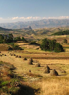 IMG_7079.JPG - Das ist Äthiopiens Nordwesten. Wunderschöne Berglandschaft zwischen 2500 und 3500 Metern, bewirtschaftet mit einfachsten Mitteln.