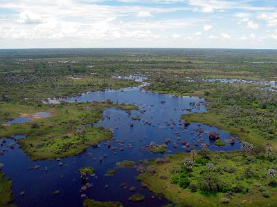 IMG_0142.JPG - Das Okavango-Delta. Auf 16.000 Quadratkilometern verteilen sich jährlich 18,5 Milliarden Liter Wasser in einem Labyrinth aus Lagunen, Kanälen und Inseln, der Heimat einer beeindruckenden Tier- und Pflanzenwelt.