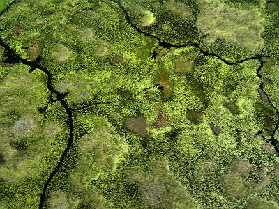 IMG_0191.JPG - Der Okavango verästelt sich in kleinste Arterien, die das Grün des Deltas durchziehen.